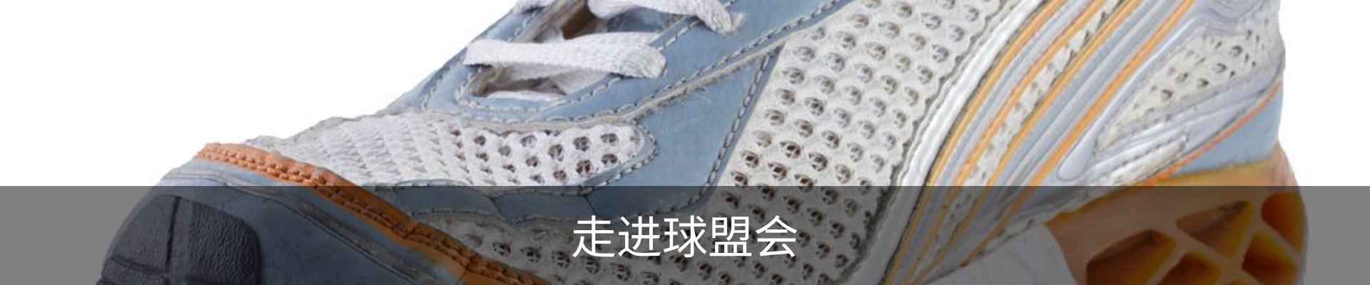 走进球盟会